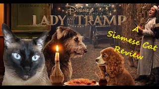 Lady and the Tramp (2019) - A Siamese Cat Review