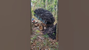 Tractor Unloading #trending #viral #shortvideo #youtubeshorts #reels #shorts #tractor #farmer #work
