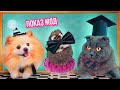 ШКОЛЬНЫЙ ПОКАЗ МОД - КОСТЮМЫ для Котика, Пёсика и Ежика | Чей ОБРАЗ Лучше? | Кот Баттерс