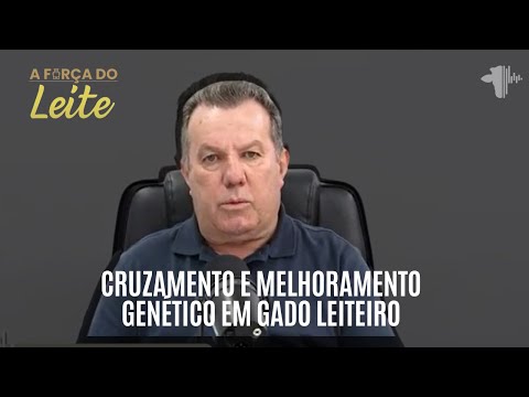 CRUZAMENTO E MELHORAMENTO GENÉTICO EM GADO LEITEIRO | A FORÇA DO LEITE