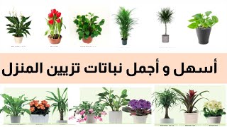 تعلم أسماء أجمل و أشهر نباتات الزينة المنزلية ، نباتات داخلية _ فيديو مهم جدا _