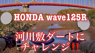 208 Honda Wave125R 河川敷ダートにチャレンジ