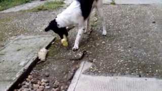 VID 20150823 103614