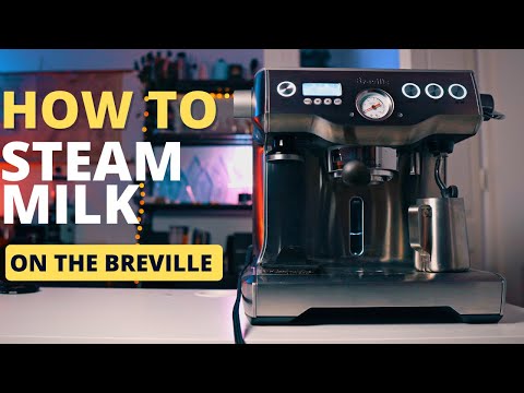 Steaming milk on a home espresso machine — Brewing With Dani