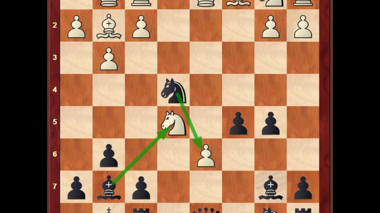 The Power of Two Bishops