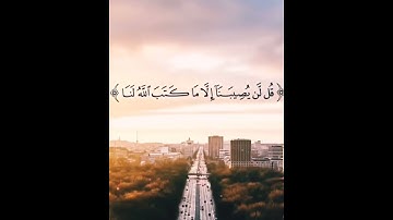 حالات واتساب قرأن كريم "سورة التوبة" 🌍❤