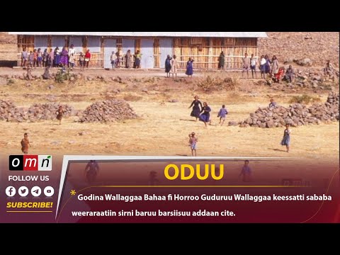 Godina Wallaggaa Bahaa Fi Horroo Guduruu Wallaggaa Keessatti Sababa Weeraraatiin Sirni Baruu Barsiis