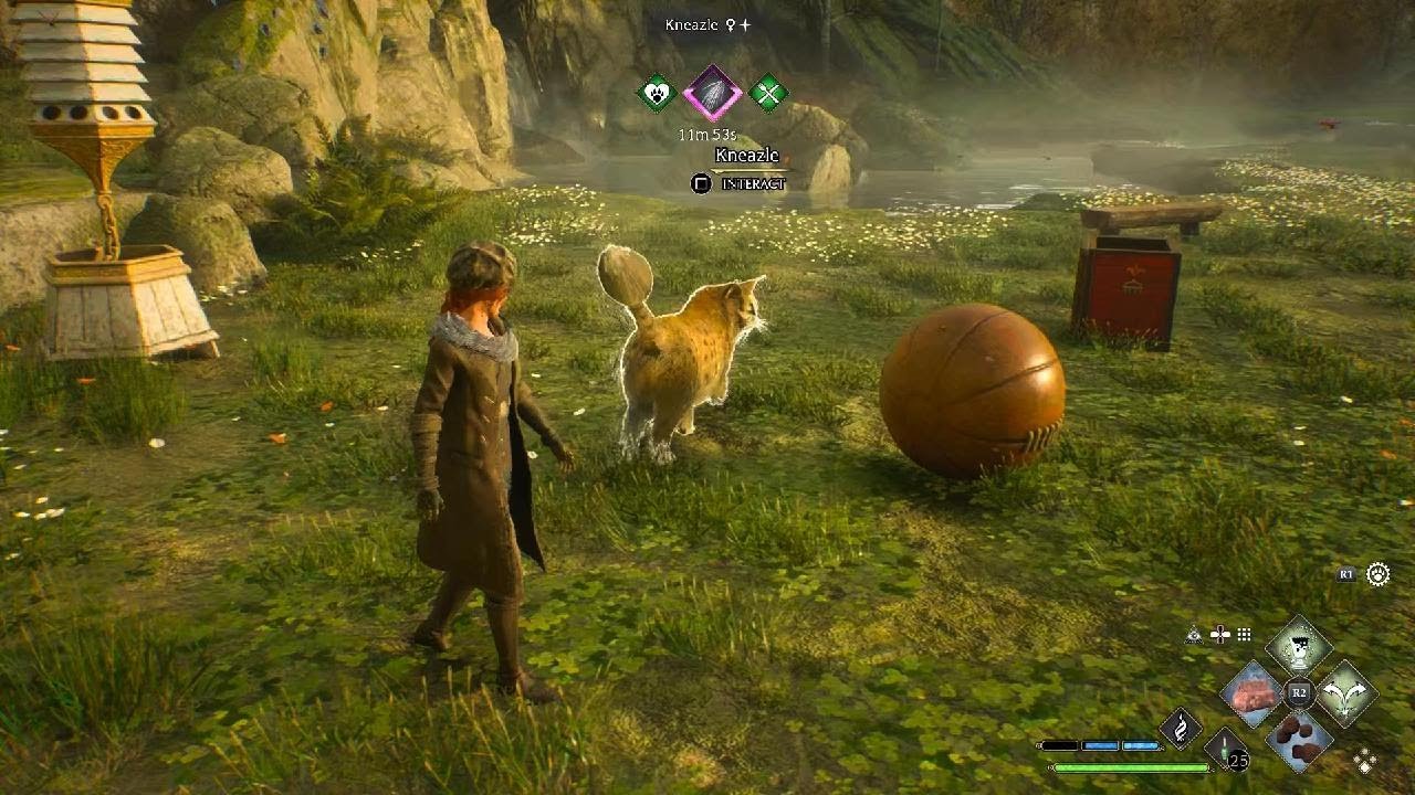 Hogwarts: Legacy - Kneazle playing with Quaffle