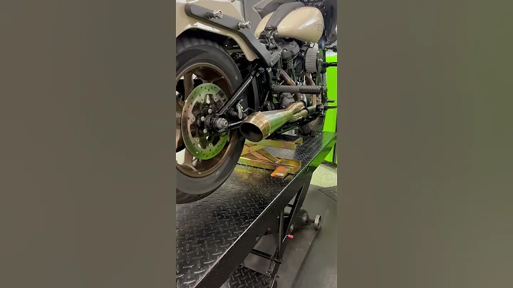 Softail Low Rider ST 117”, Wood WM8-777XE cam, Jackpot Riot 2/1 exhaust