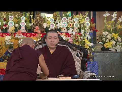 RUSSIAN 3/15/18 Karmapa   Bodhisattva's Way of Life   Vigilance Chp 5 verses