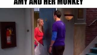 Amy And Her Monkey & Sheldon Compliments Penny - The Big Bang Theory