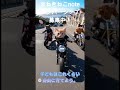 【小学校受験】子どもはこれくらい自由に育てよう。