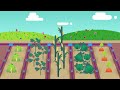 The Vital Role of Water in Agriculture and the Water Cycle