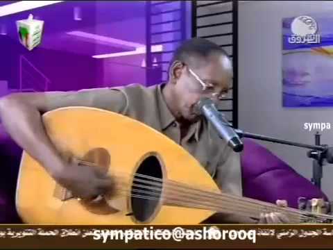 علي العامري اطرد الأحلام يا جميل 