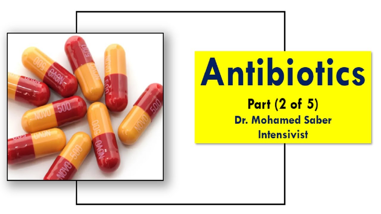 Lecture 15 - Antibiotics 2 - YouTube