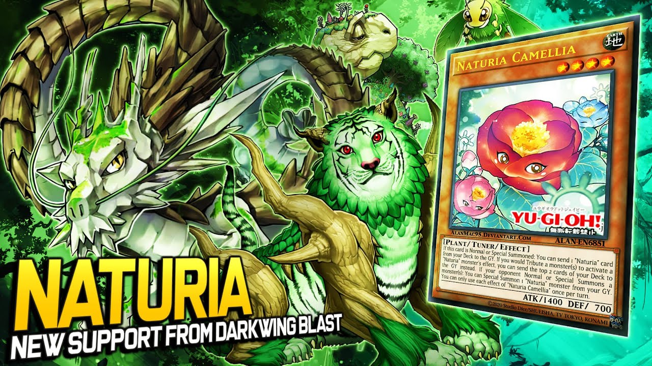 Naturia DECK 🌱 | Replays 🎮  +  Decklist ✔️ | EDOPRO