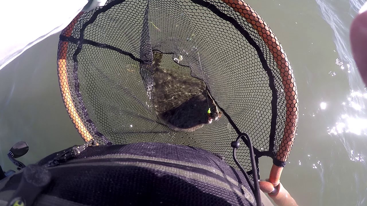 Flounder fishing Lower Laguna YouTube