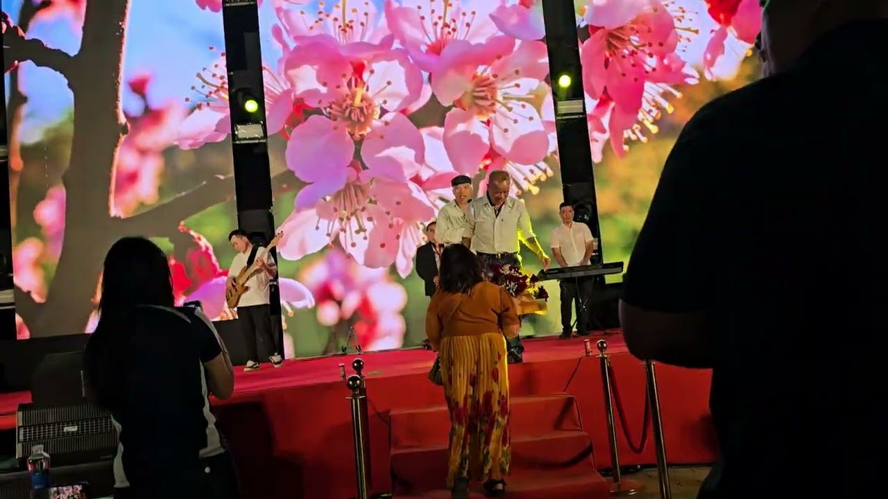 2026 đêm văn nghệ