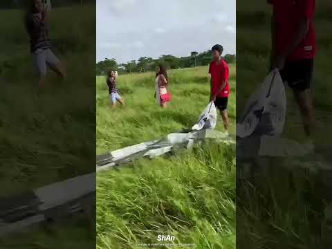 أطول ذيل طائرة ورقية في العالم