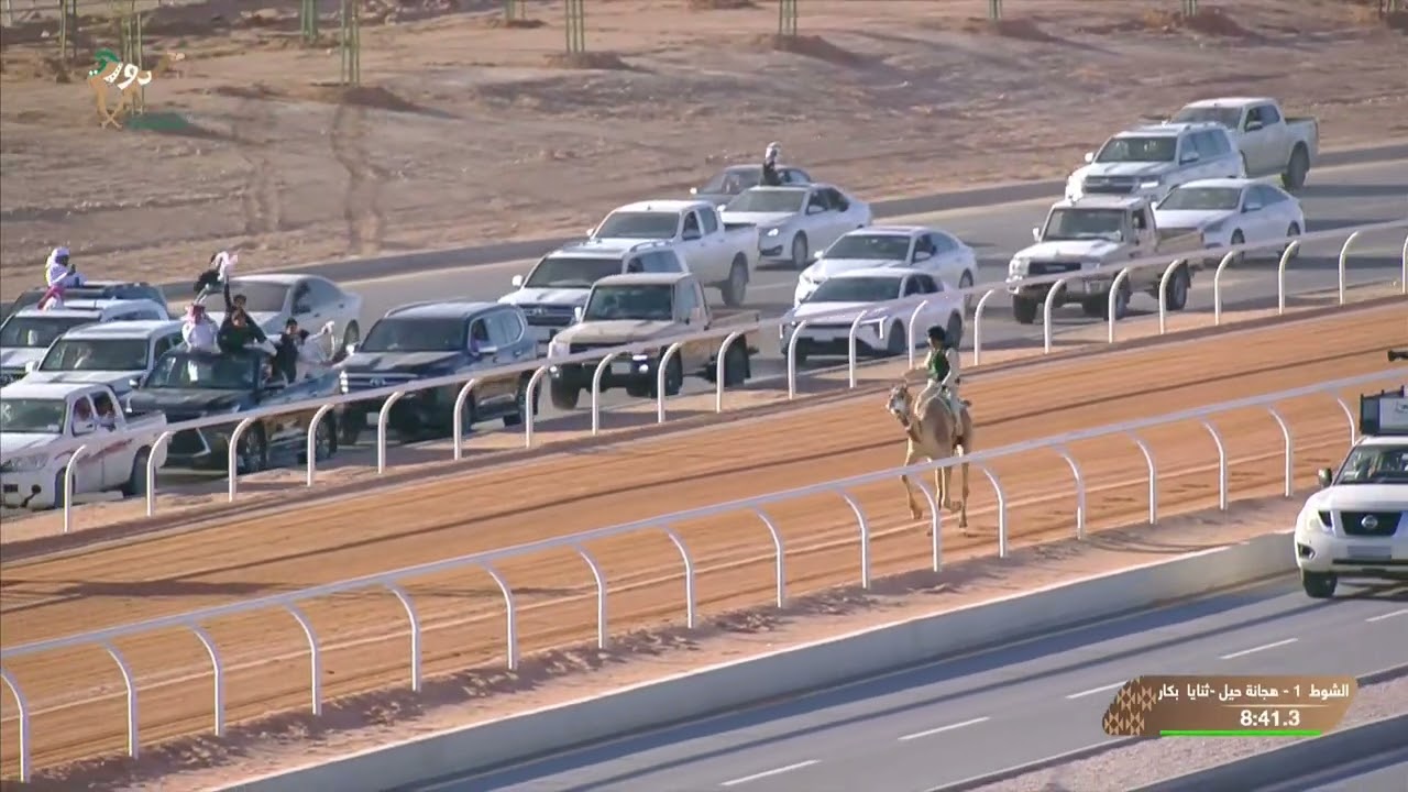 الشوط 1 كأس حيل وثنايا بكار - رجال  #دوري_هجان 2026