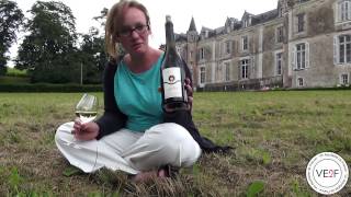 Château du Coing à Saint Fiacre : présentation u0026 dégustation