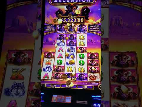 Quick Hit Link Slot Machine 🎰 The Facts and how to play! ⭐️ Reviewed by a Slot Tech!