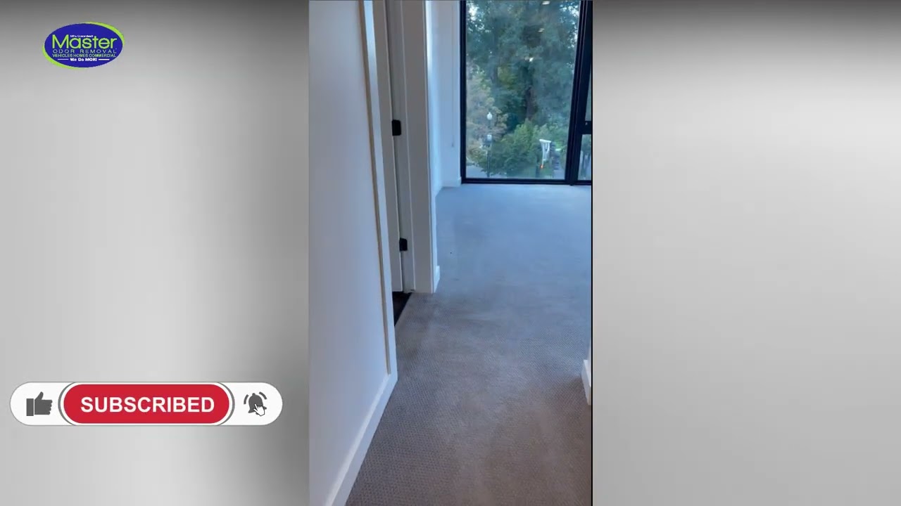 Master Odor Removal l How to Remove Bad Odor from House | Eliminate Home Odors