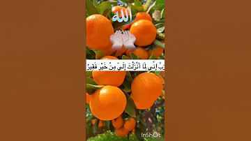 دعاء رب اني لما انزلت الي من خير فقير 
