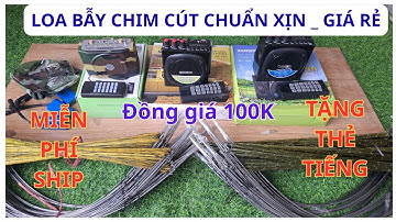 100k | LOA BẪY CHIM CÚT GIA RẺ HIỆU QUẢ CAO | TẶNG THẺ TIẾNG CHUẨN | LOA ĐIỀU KHIỂN TỪ XA TỐT NHẤT