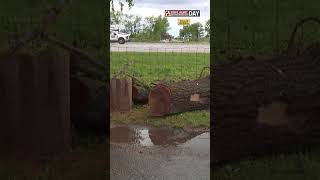 Saline County town sees storm damage and power outages
