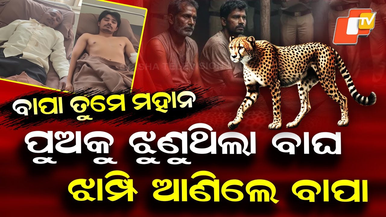 Special Story: Father Fights Leopard to Save Son in Gujarat, Animal Killed