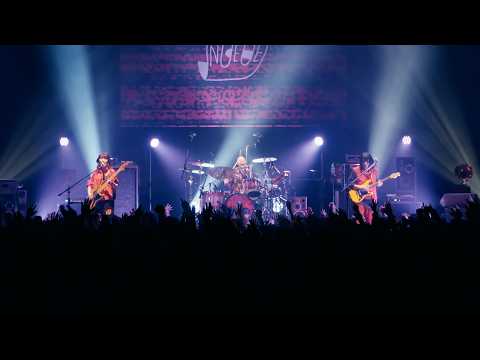 ハートブレイカー - NEE 「EXOTIC METTYA SAISEI」 2026.01.30 at Zepp DiverCity