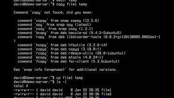 Copying, moving, and renaming files in Ubuntu Server