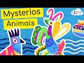 Unique Animal Features and Habitats