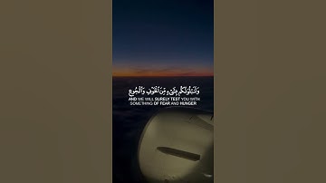 وبشر الصابرين | طارق محمد | حالات واتس اب دينية قصيرة قران كريم تلاوة خاشعة ومؤثرة