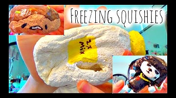 Homemade squishy experiment-freezing squishies