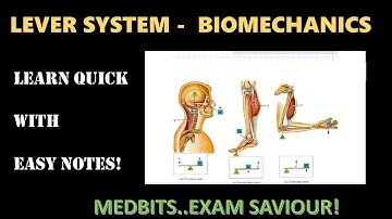 LEVER SYSTEM AND ITS CLASSES IN BIOMECHANICS