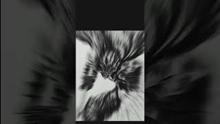 Berserk Guts