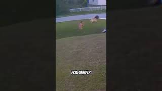 Köpek Sahibini Koruyor Küçük Kızı Kurtarıyor