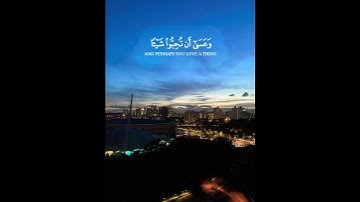 (و عسى ان تكرهوا شيئًا و هو خير لكم) من سورة البقرة - مشاري راشد العفاسي #islam explore #quote