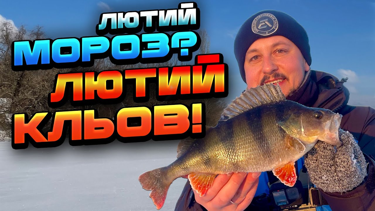 Лютий мороз і жирний окунь! Безмотилка на Десенці