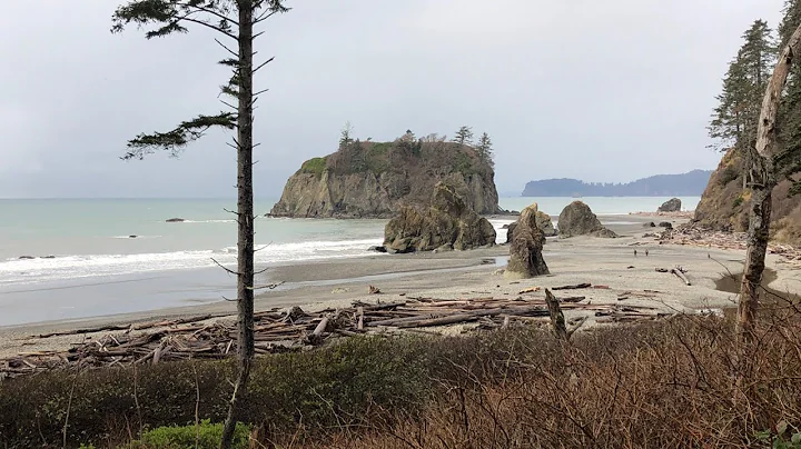 Pacific Coast, Olympic National Park, WA - visit 5...