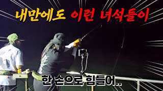 내만 갈치낚시 녀석들의 미친 입질이!! 잡아서 바로 먹는 갈치회 먹방까지~ (f. 삐꾸TV,연주찌야)
