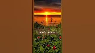 kun anta کن انت hummod|#youtube #ytshorts #youtubeshorts #shortsfeed #viralshorts