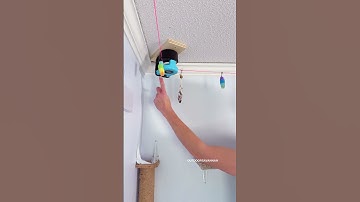 Ceiling String Toy for a Cat #cat