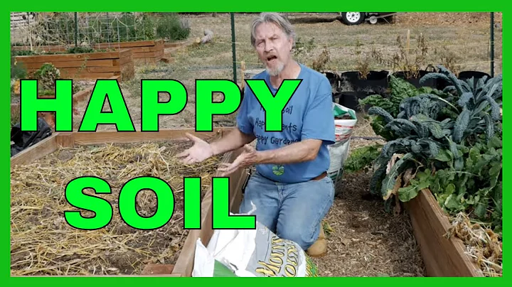 How to Amend Raised Garden Beds