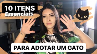 10 ITENS PRA VOCÊ COMPRAR ANTES DE ADOTAR UM FILHOTE DE GATO