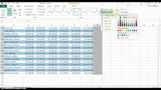CS 102 Final Project Net Worth