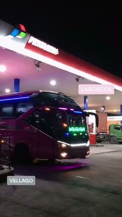 Kumpulan Bus dari Po. sudiro tungga jaya (stj) Bus tiktok