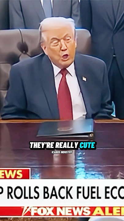 Trumps Wants to Legalize KEI Cars